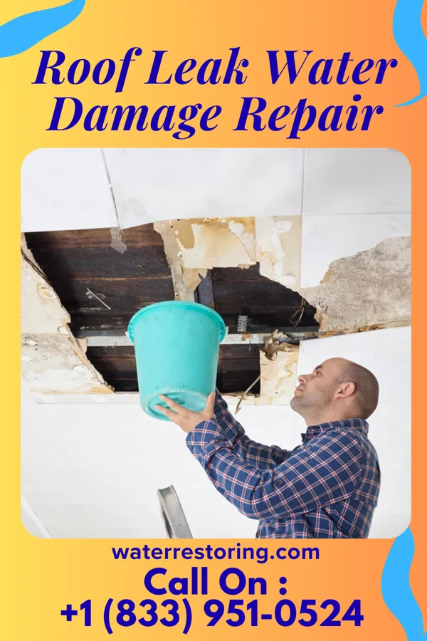 Roof Leak Water Damage Repair in Lucas, KS